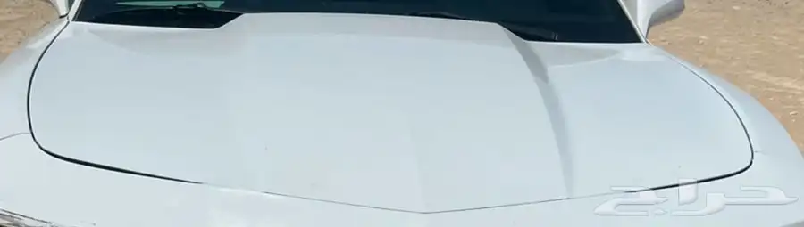 كبوت كمارو 10-15 0