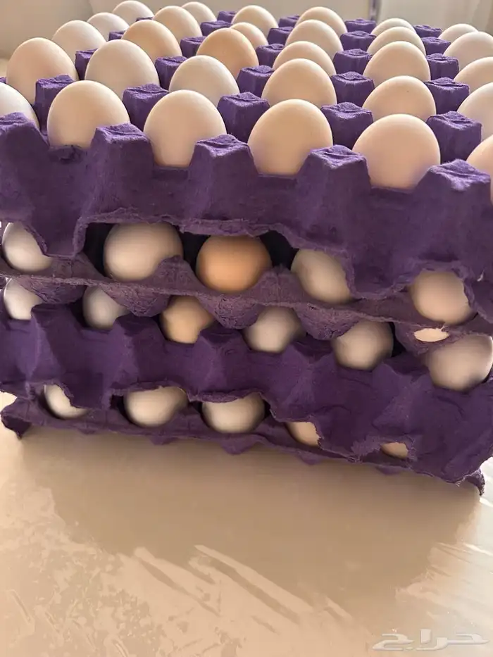 بيض بلدي رهيييب الطبق 25 0