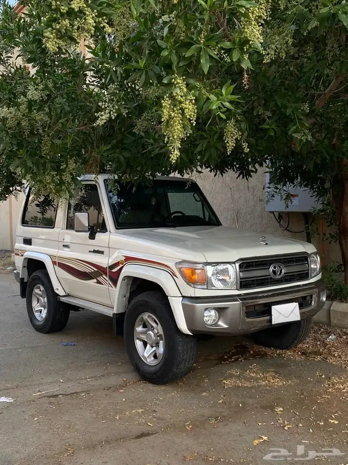 جيب ربع 2009 1