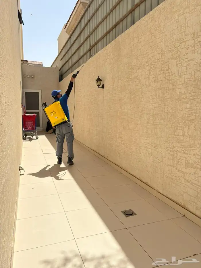 خدمة مكافحة الحشرات والنظافة 10