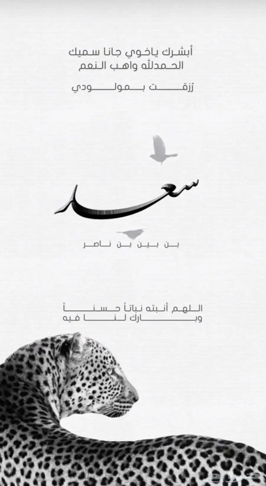تصاميم تناسب ذوقك 1
