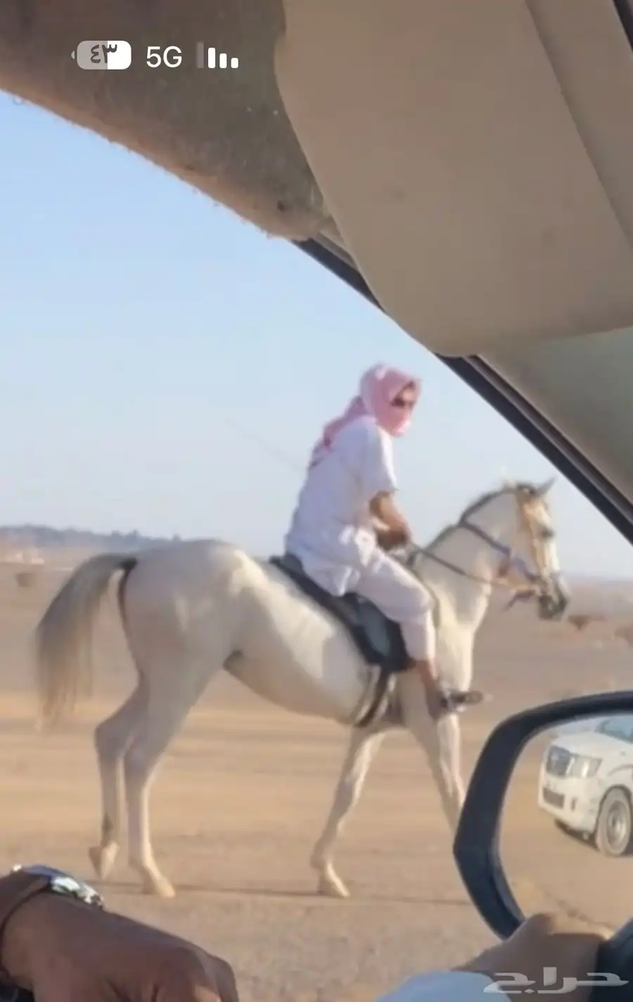 خيل 0