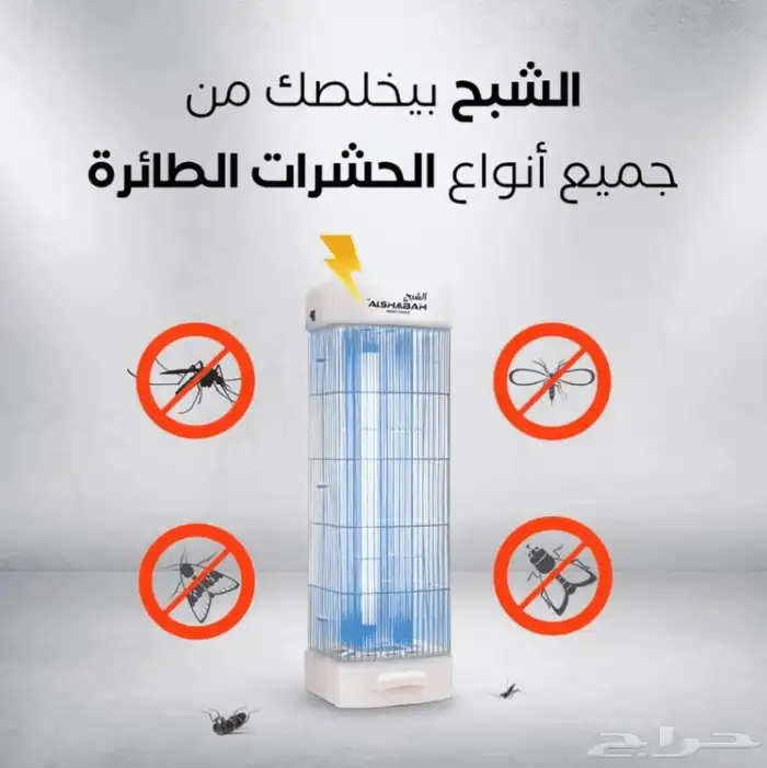 ناموسية وصيادة حشرات الشبح 1