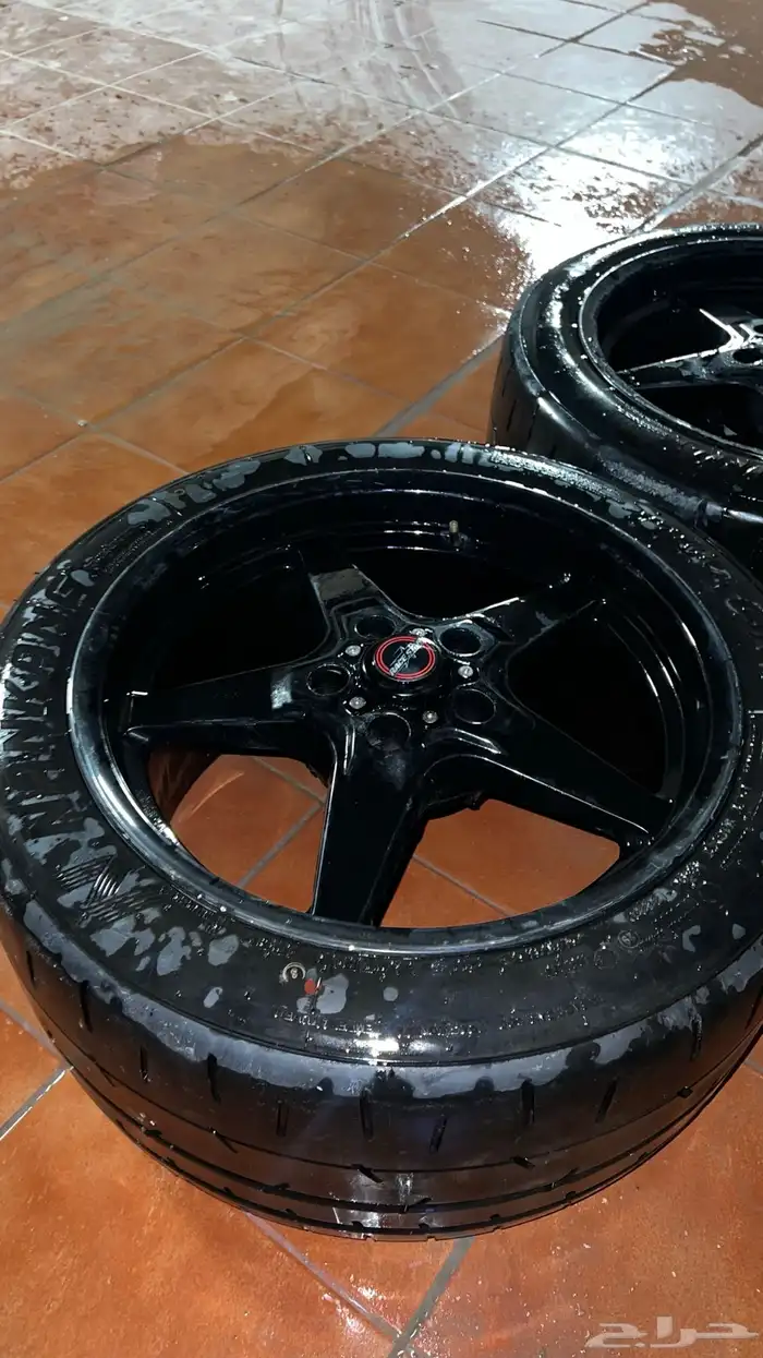 جنوط خلفيه ريس ستار 3