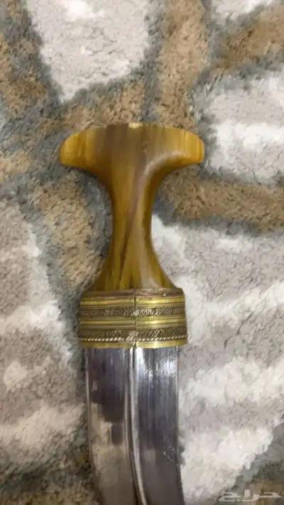 جنبيه للبيع على السوم 2