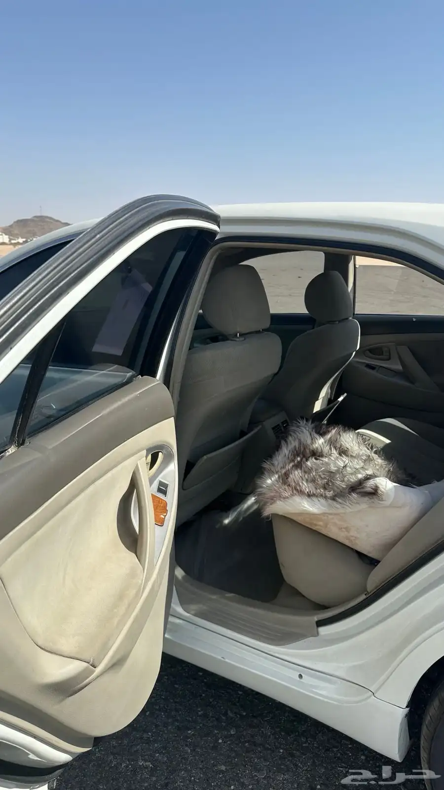 اوريون 2009 5
