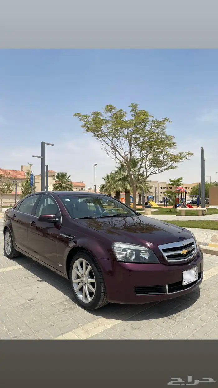 كابرس 2015 LS عنابي 0