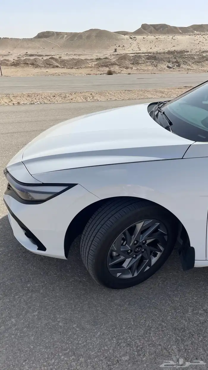 النترا 2025 2