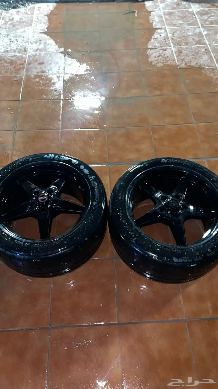 جنوط خلفيه ريس ستار 2