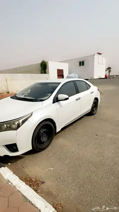 كورلاء 2015 (للمستخدم ) فقط 2