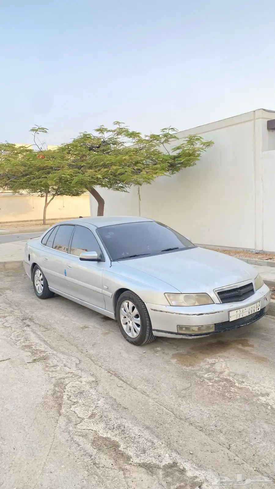 كابرس 2006 3