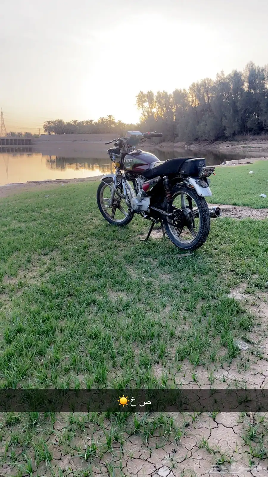 برنقي للبيع 1