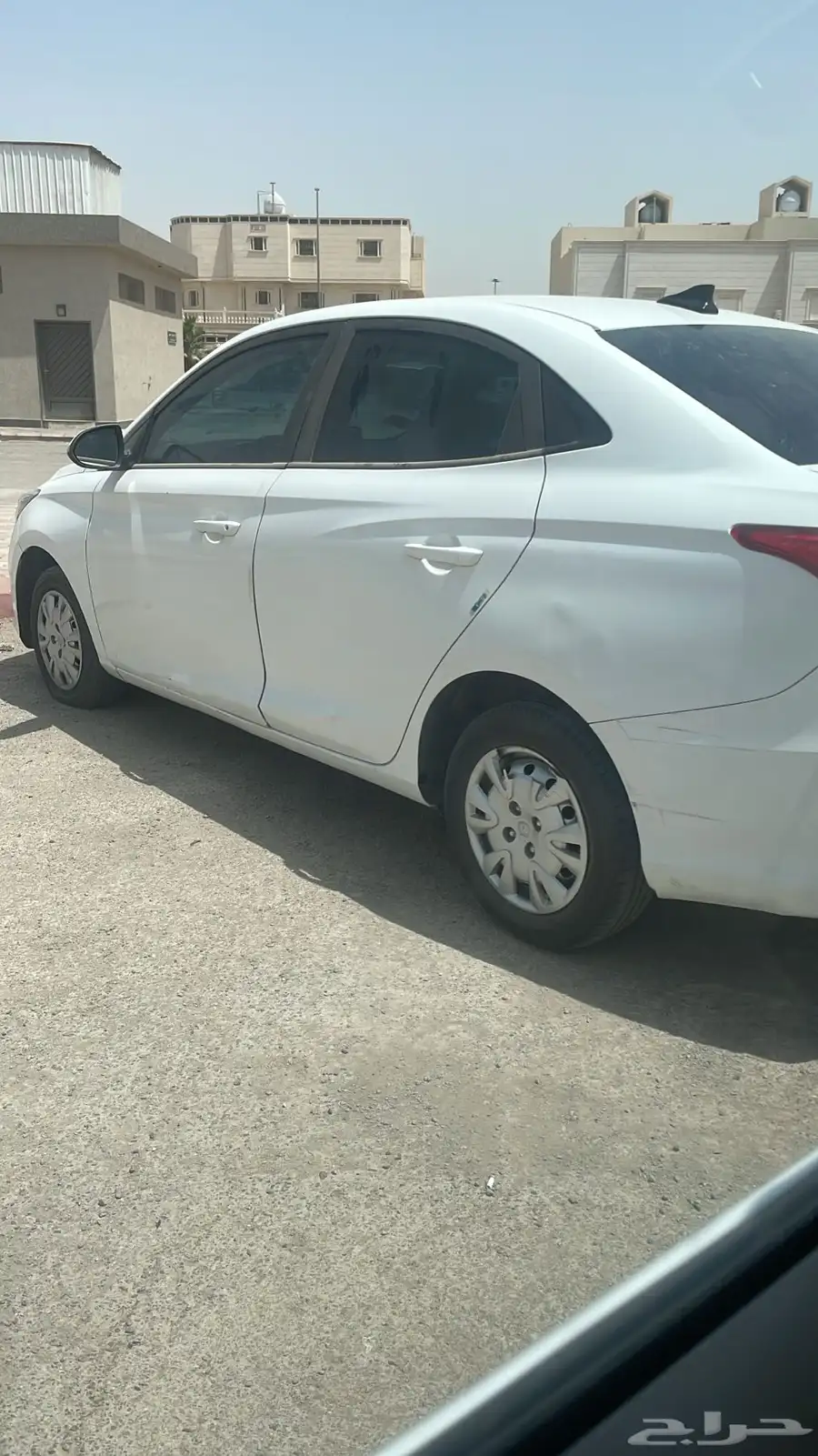 شانجان للبيع 0