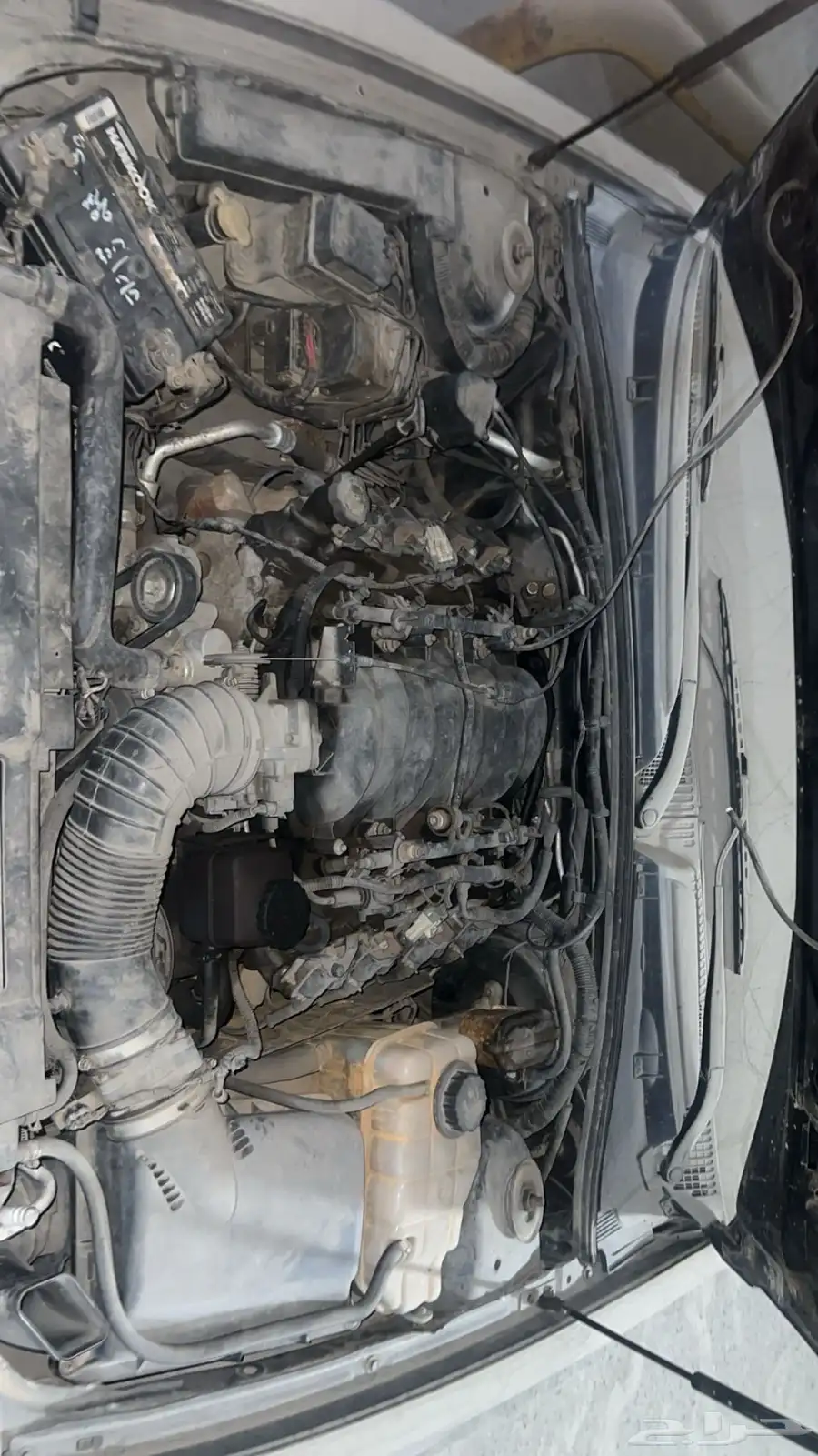 كابرس 2002 Ls1 الجميح ممشى قليل 10