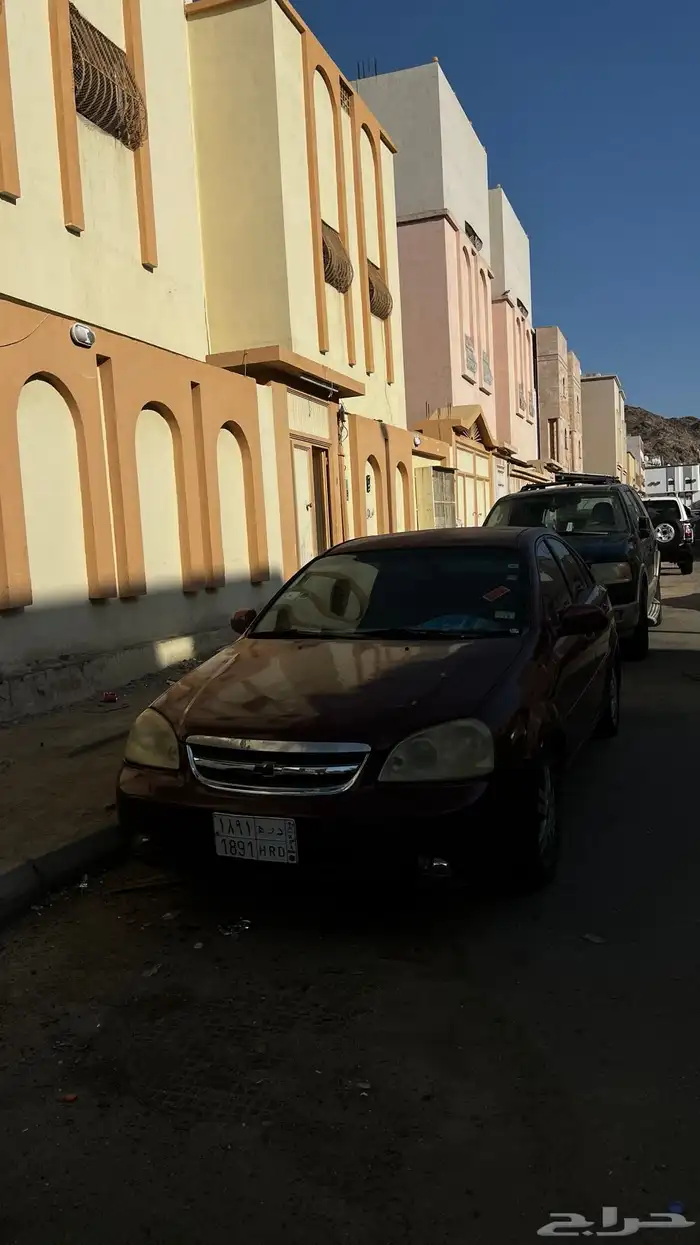 وبترا نص فل 2006 7