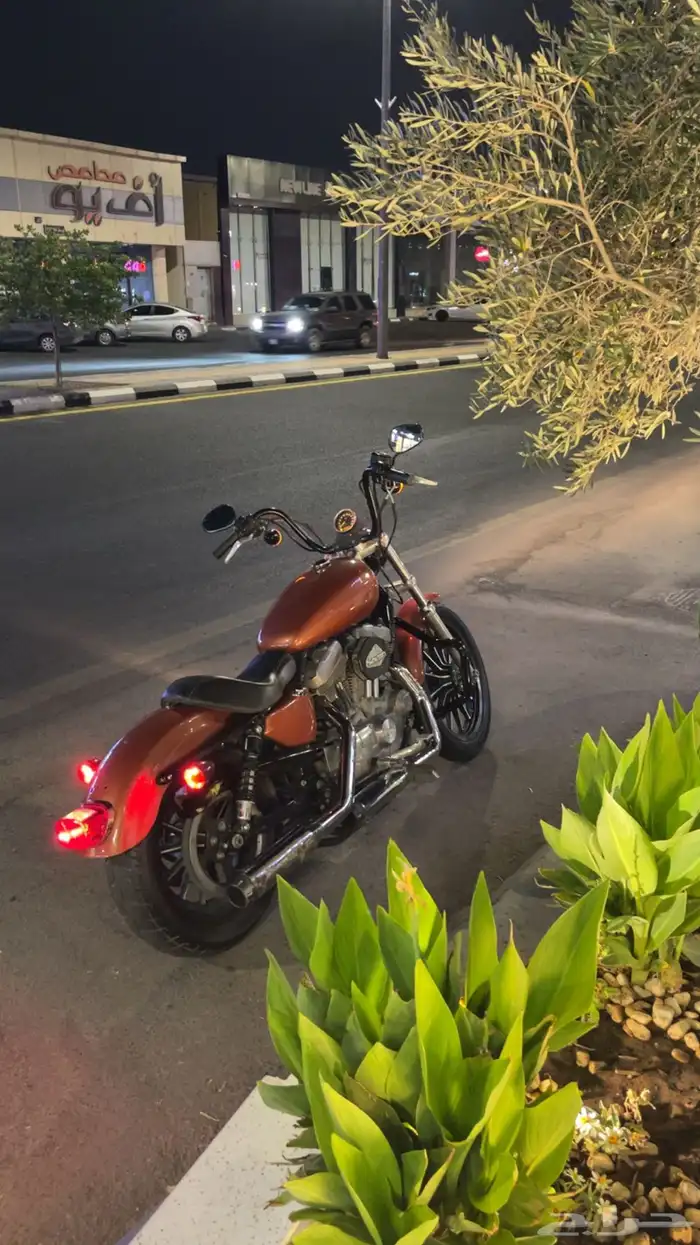 للبيع   هارلي دايفيدسون سبوستر ايرون 883 cc 2014 0