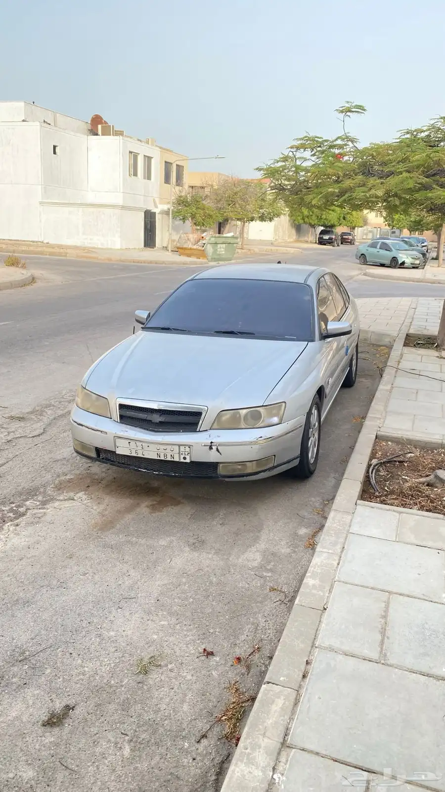كابرس 2006 2