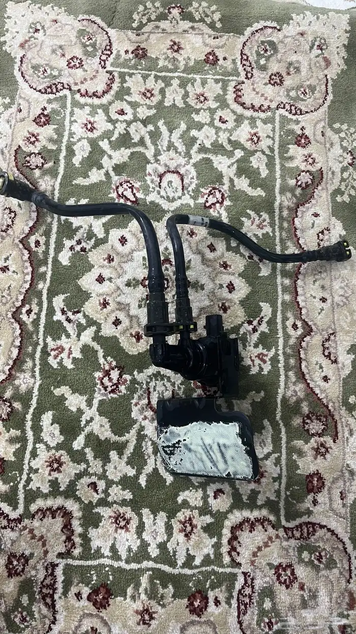 فكتوريا او ماركيز EGR 3