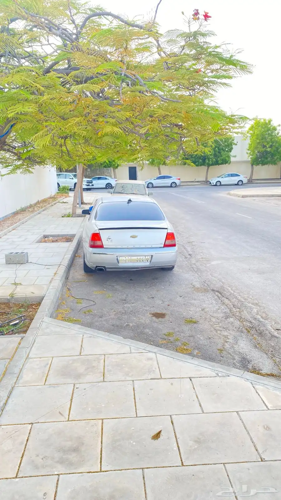 كابرس 2006 1