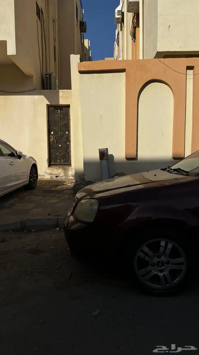 وبترا نص فل 2006 0