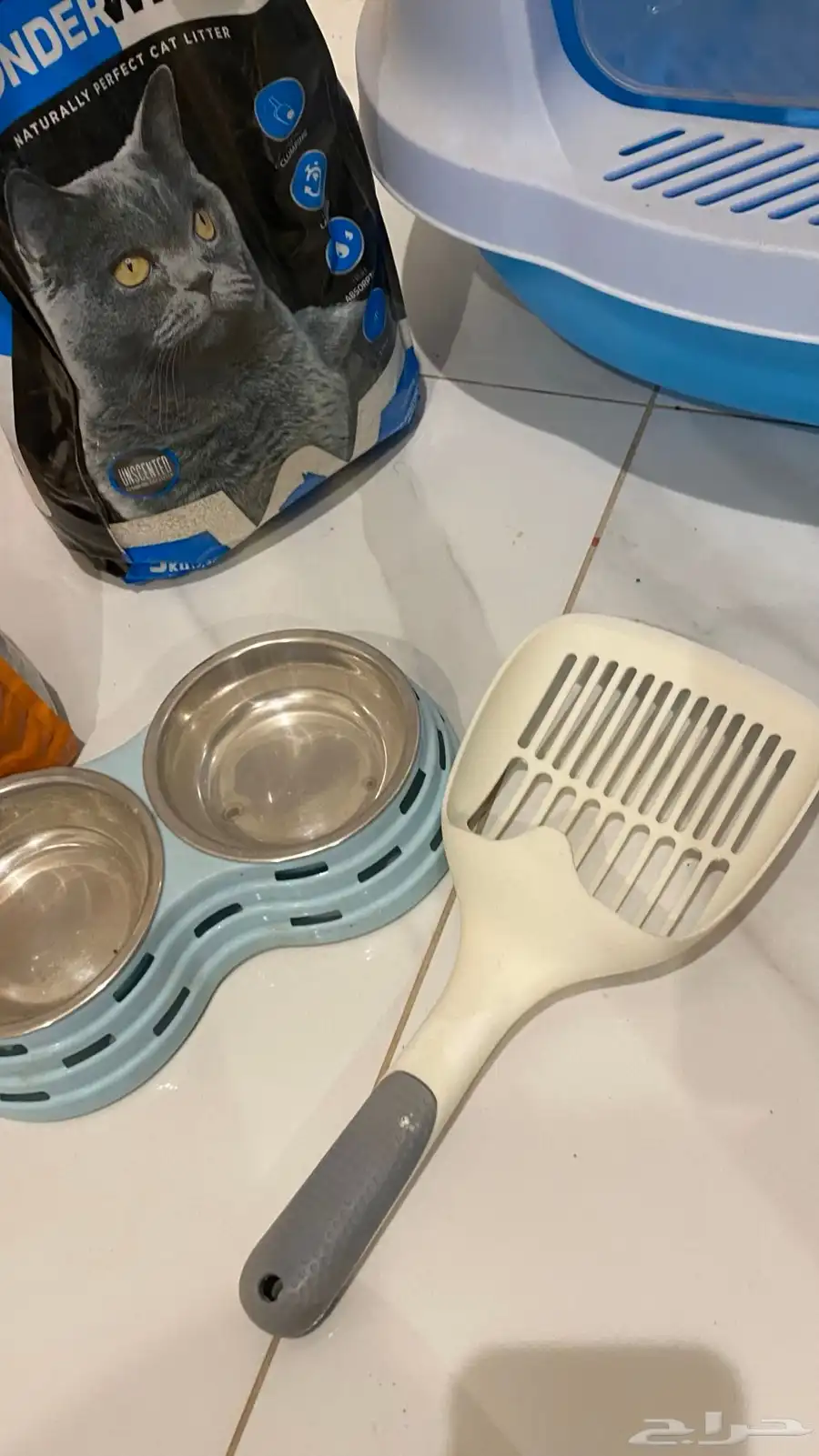 اغراض قطط 2
