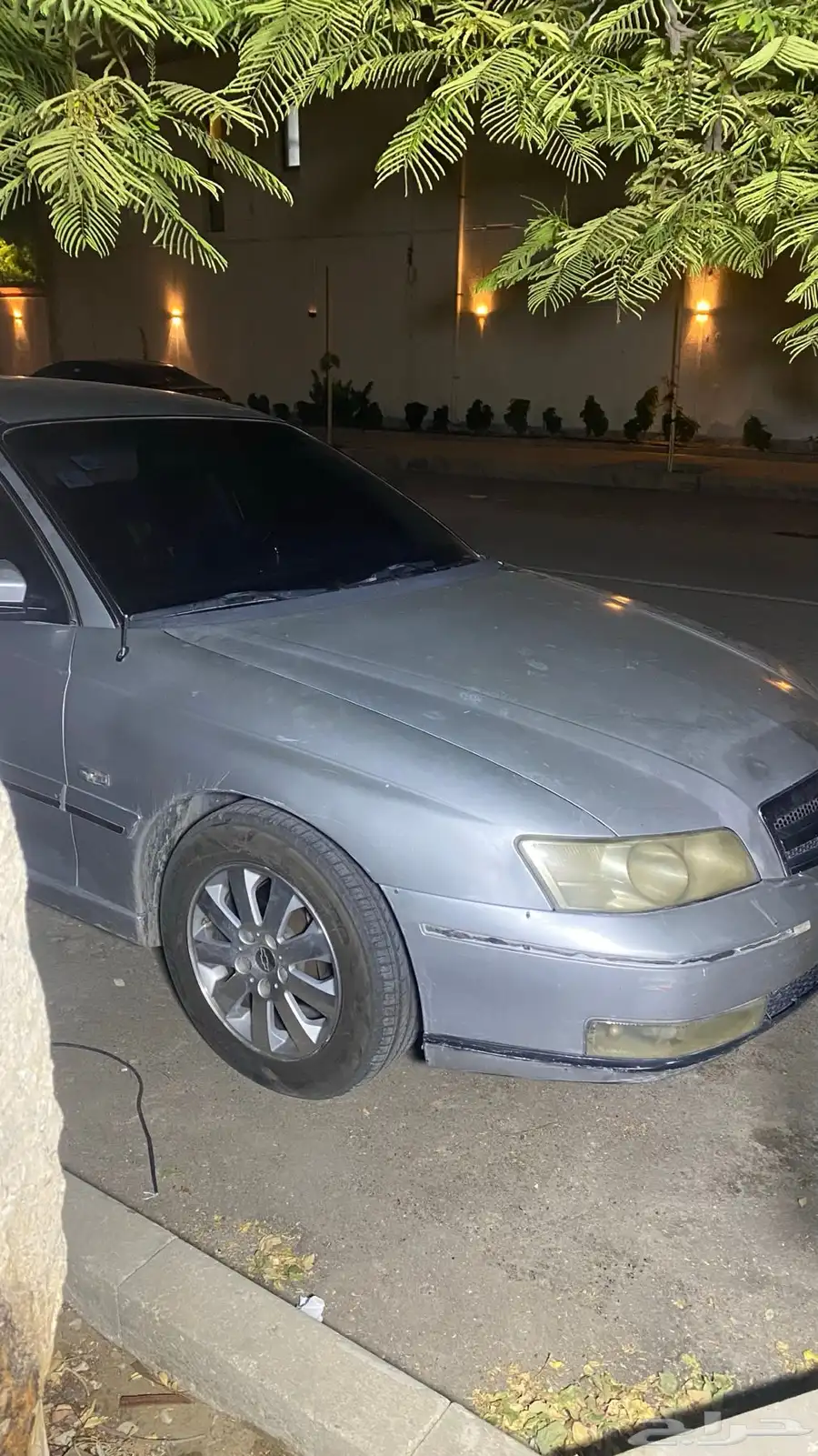 كابرس 2006 11