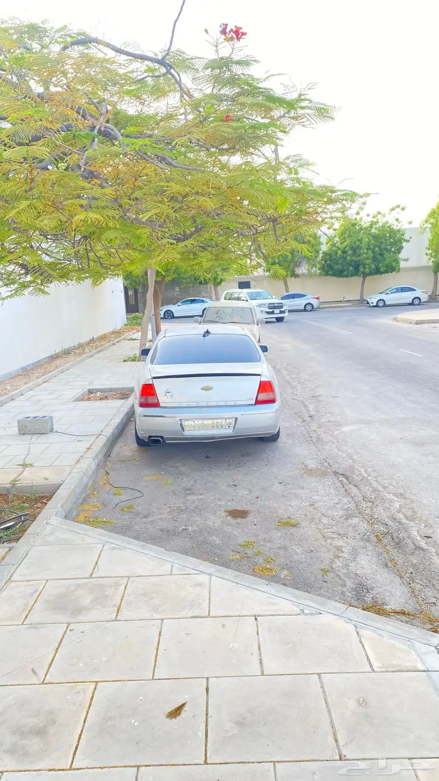 كابرس 2006 0