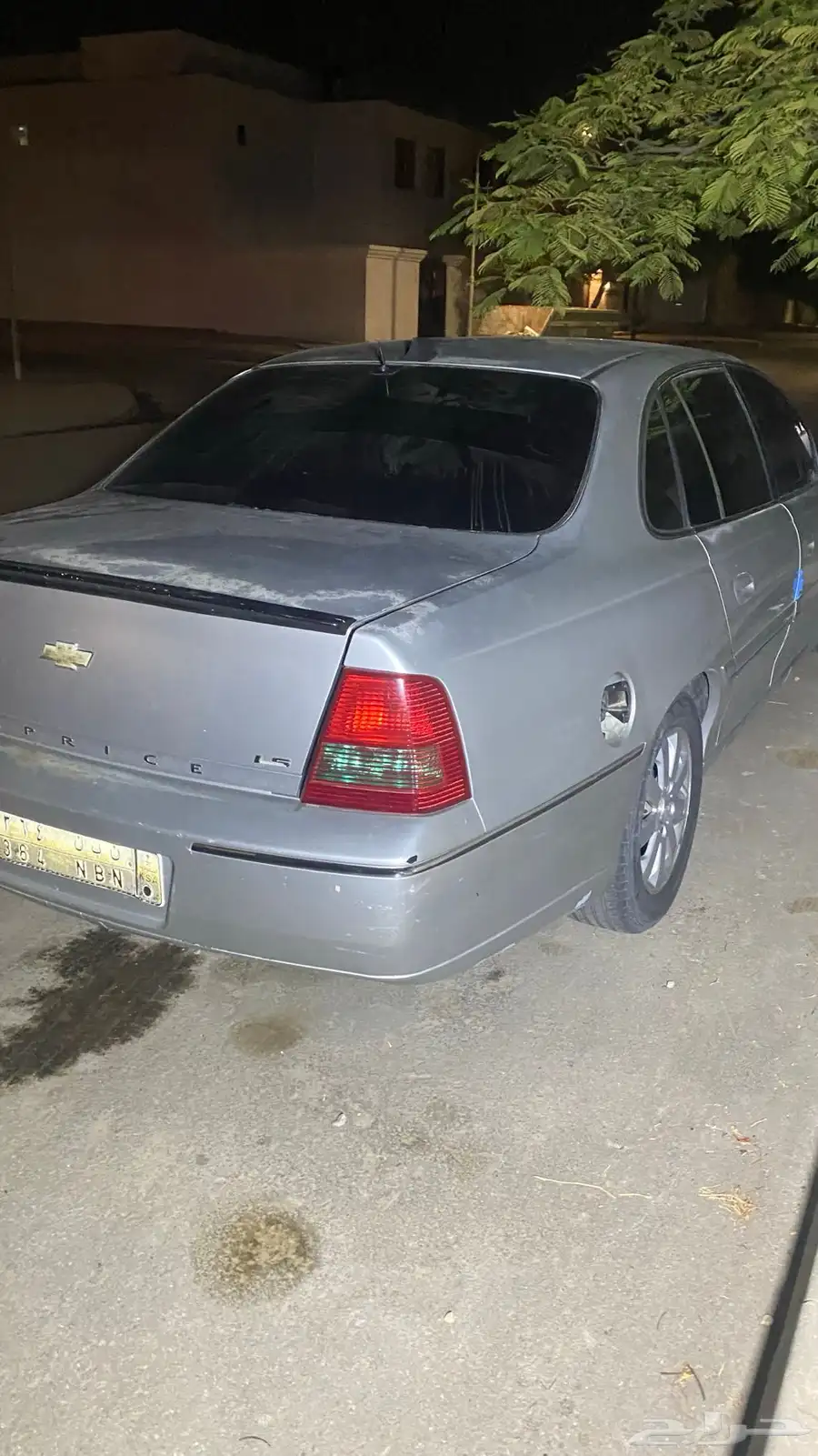 كابرس 2006 10
