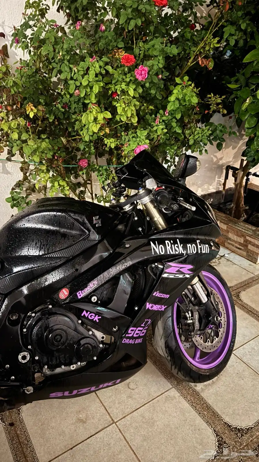 ريس 600 2008 5