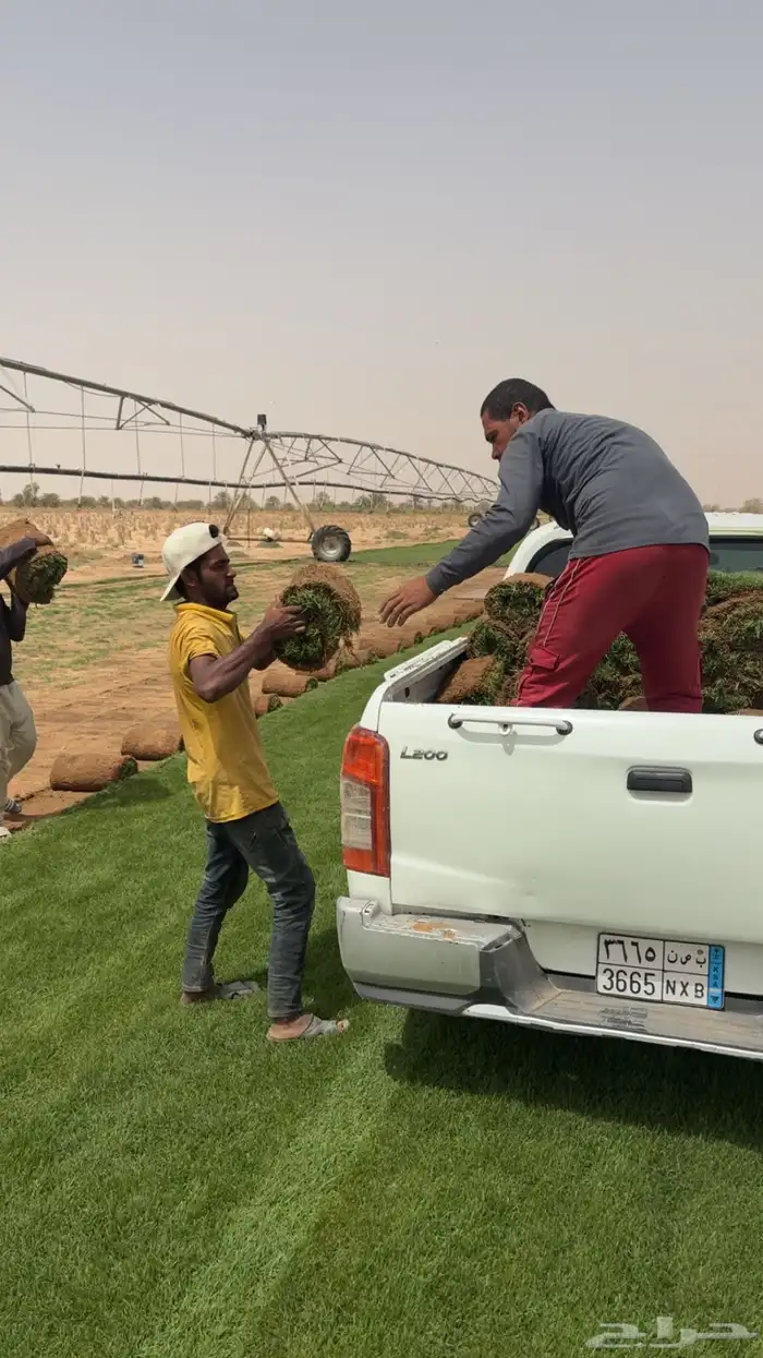 تزيين حدايق 16