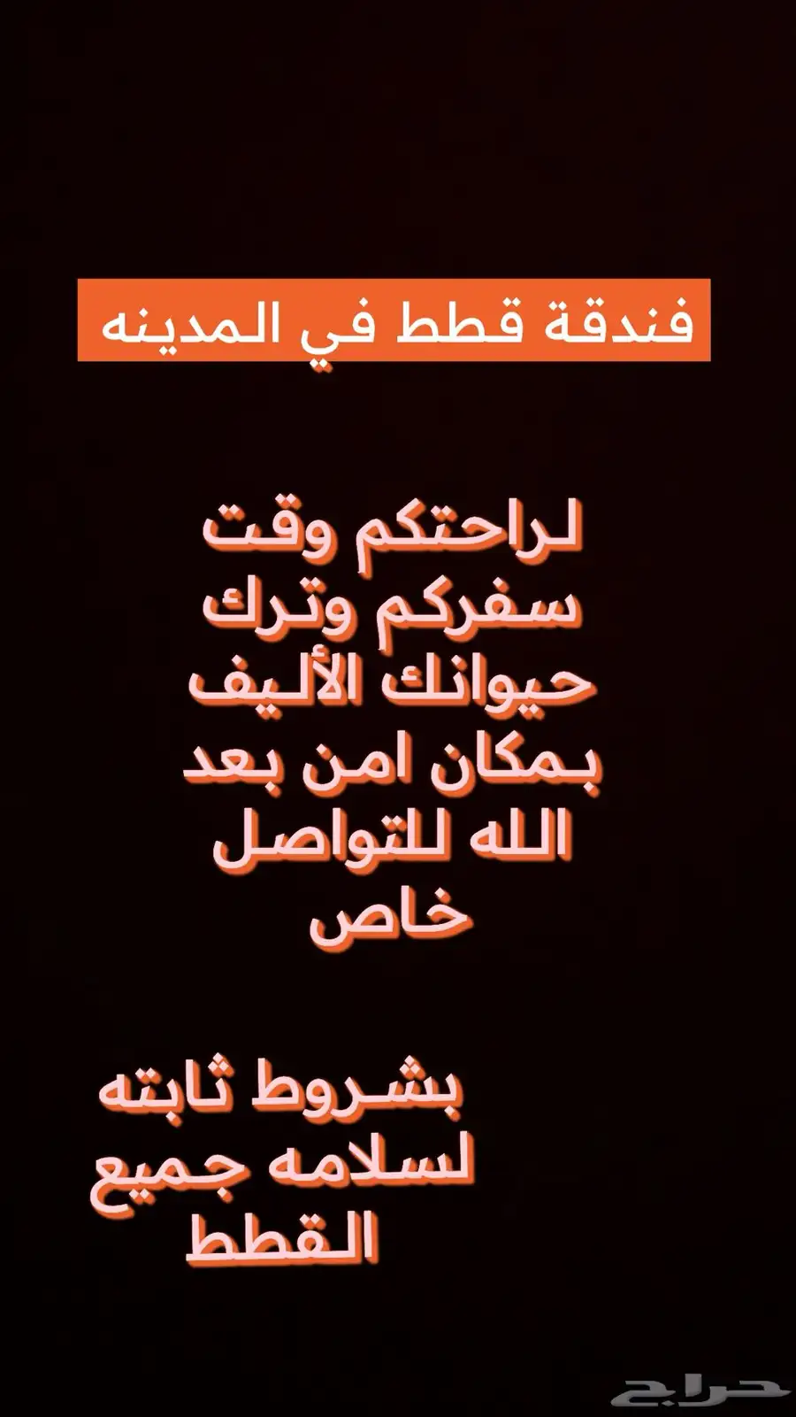 فندقة قطط 0