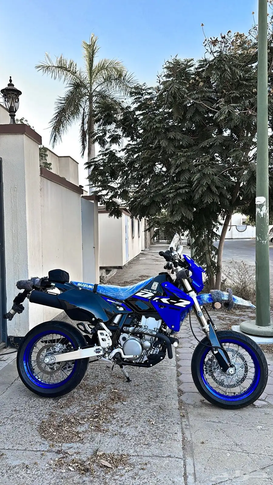 ديار 24 2