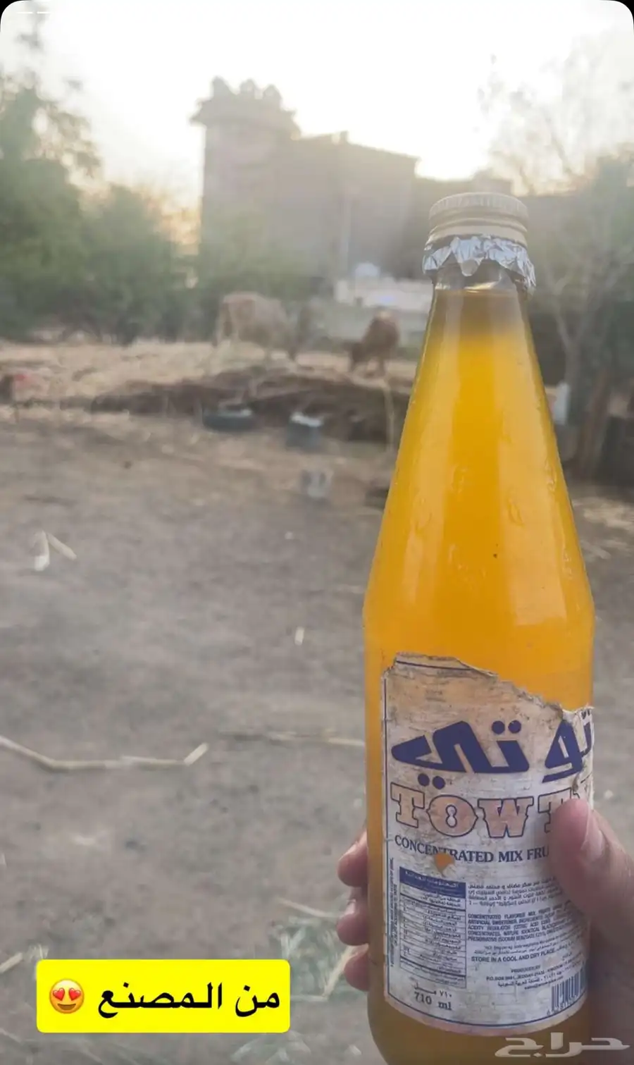 سمن بلدي مضمون 100 0