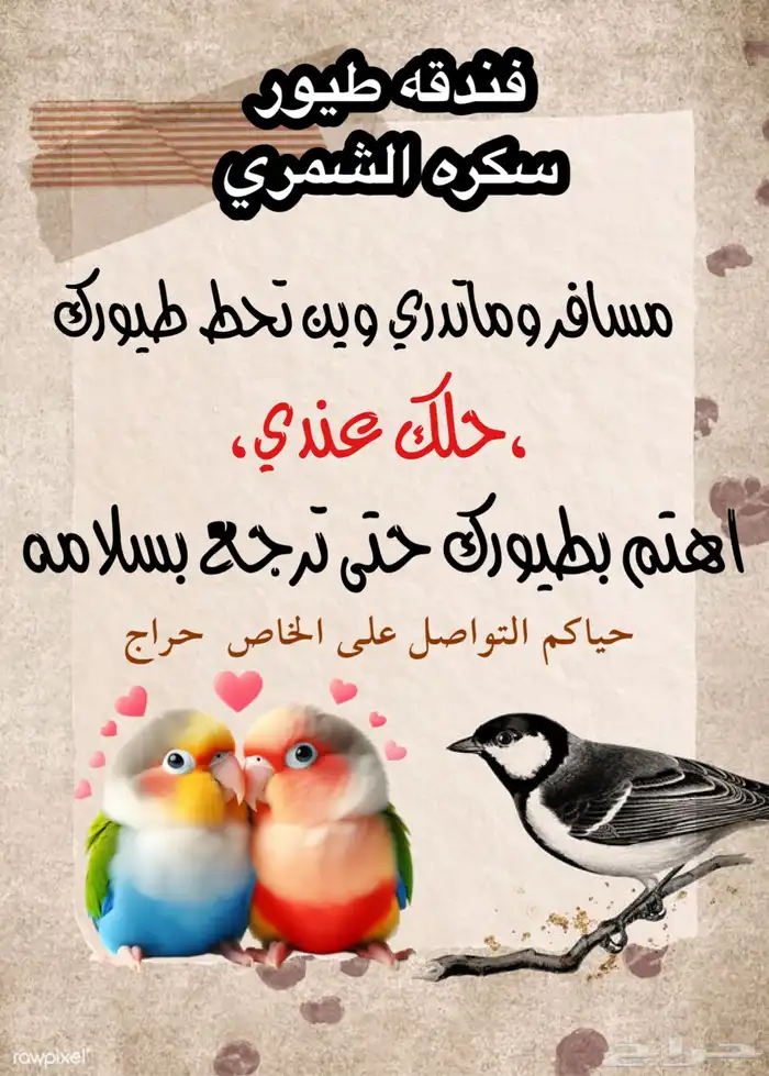 متوفر لدي فندقه طيور الدفع مقدما 0