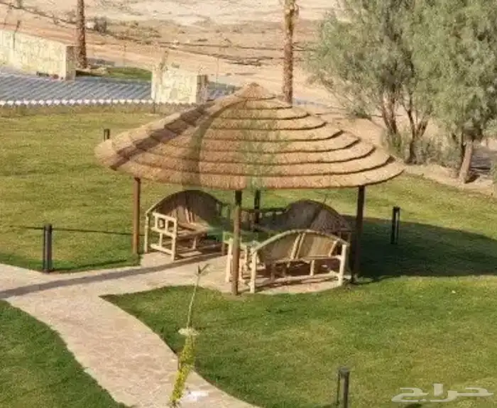 مطلوب فني مظلات جريد وخيزران وقش افريقي القصيم 0