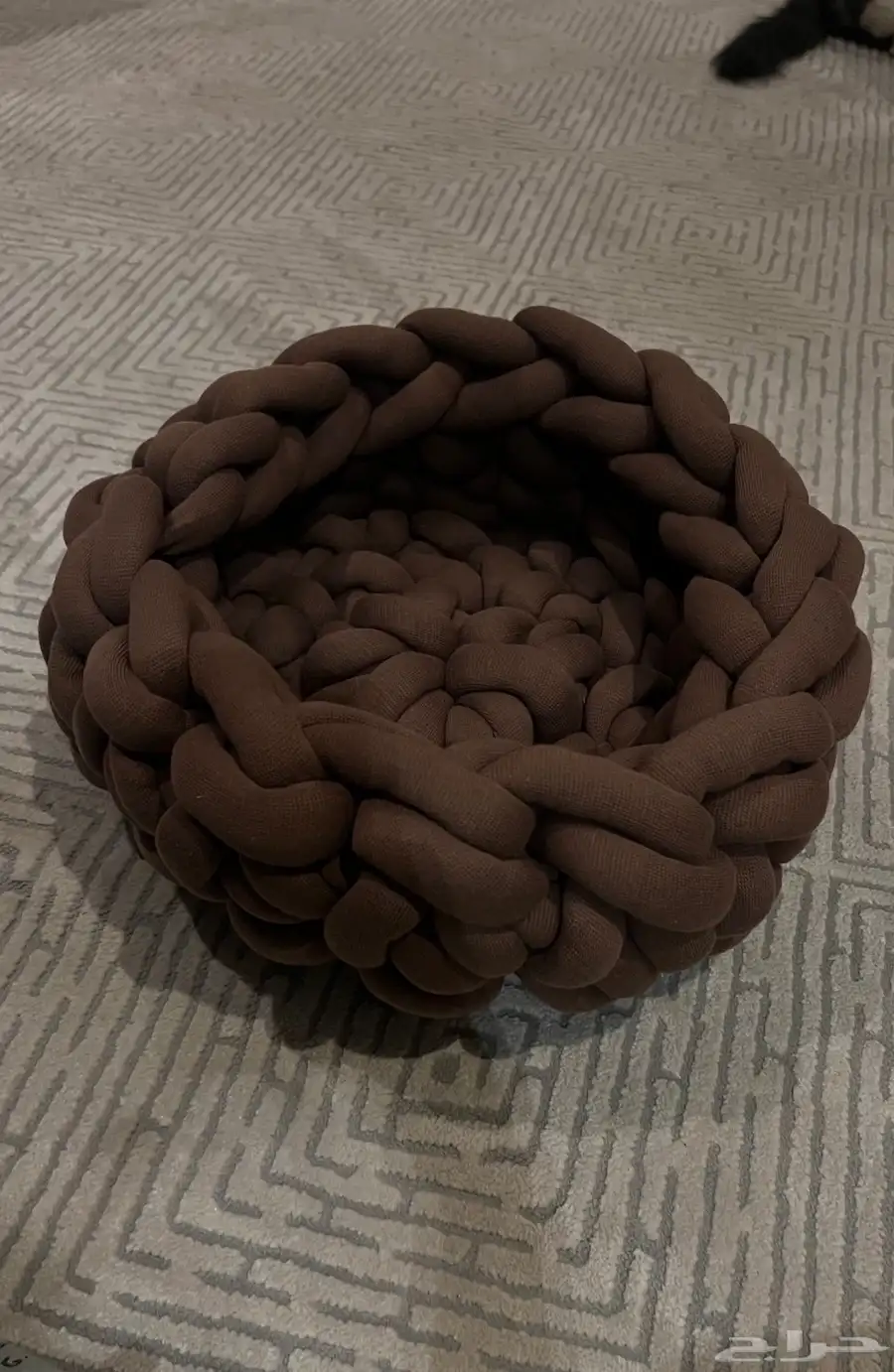مستلزمات قطط 3