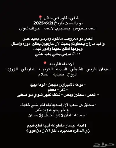قط مفقود حائل 0