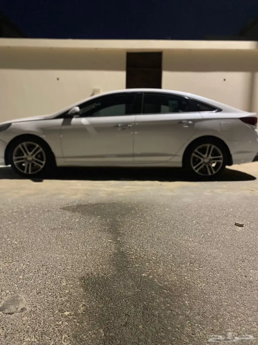 سوناتا 2019 10