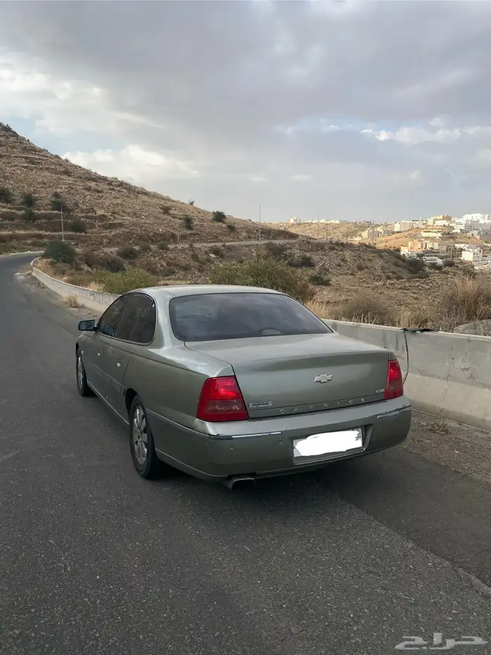 كابرس 2006 بودي بلد 1