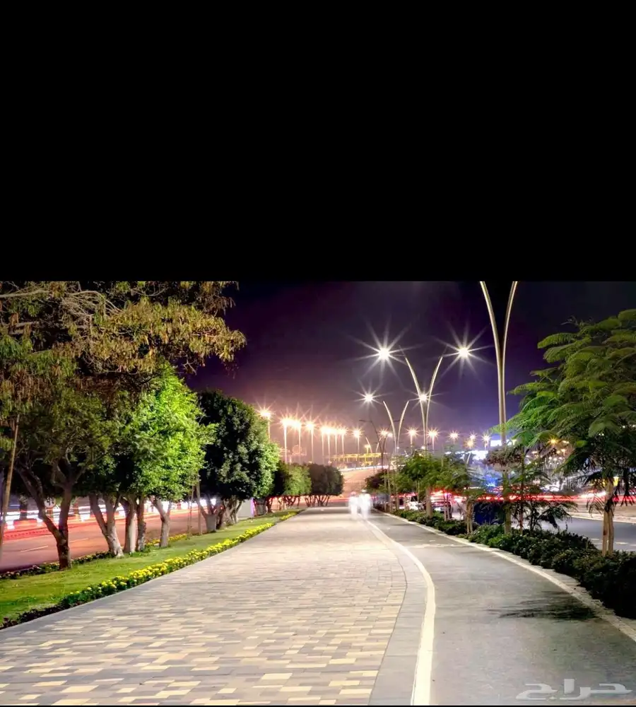 شقه للايجار في أبها 0
