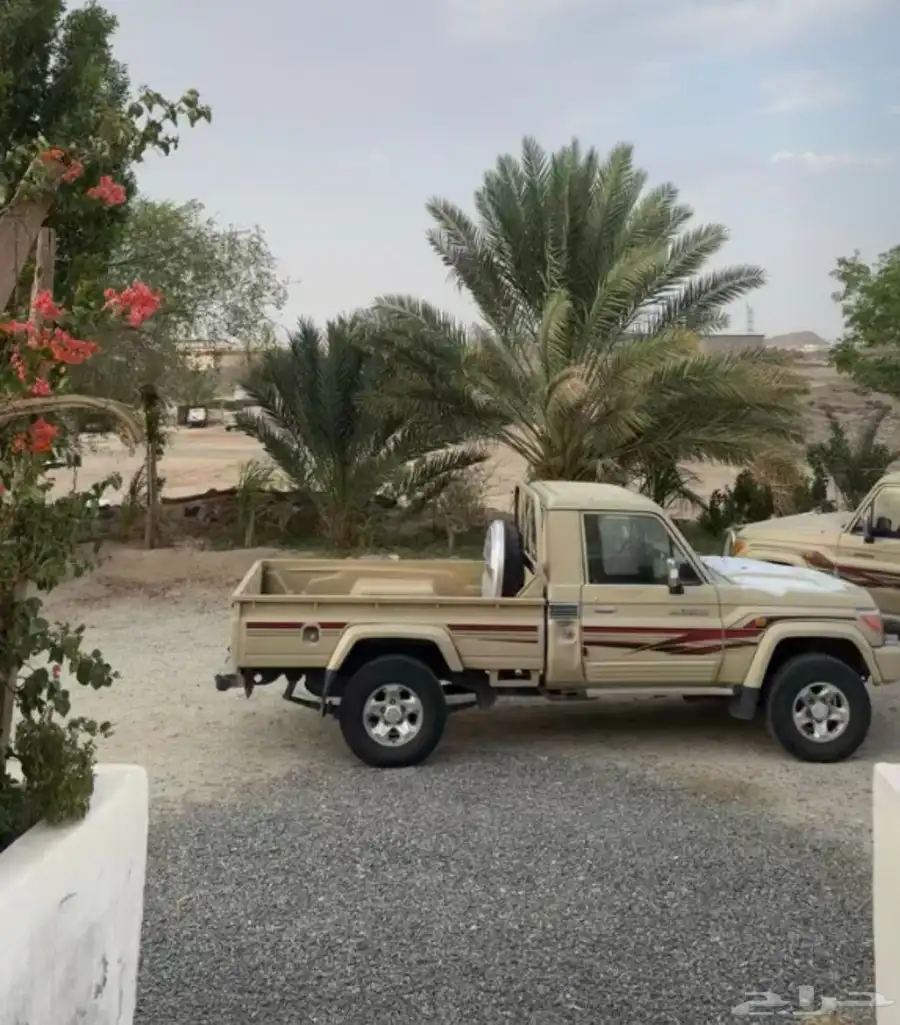 شاص2010 نظيف 1