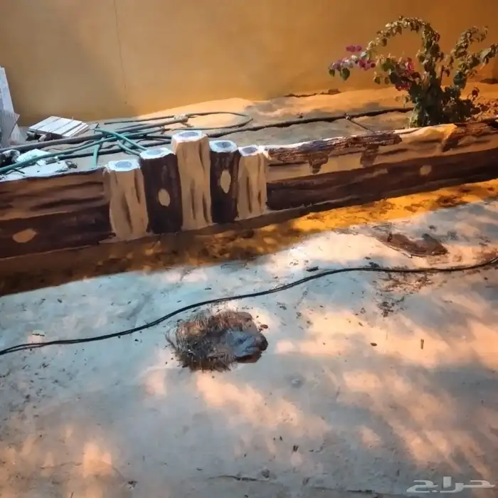 تزيين حدايق 7