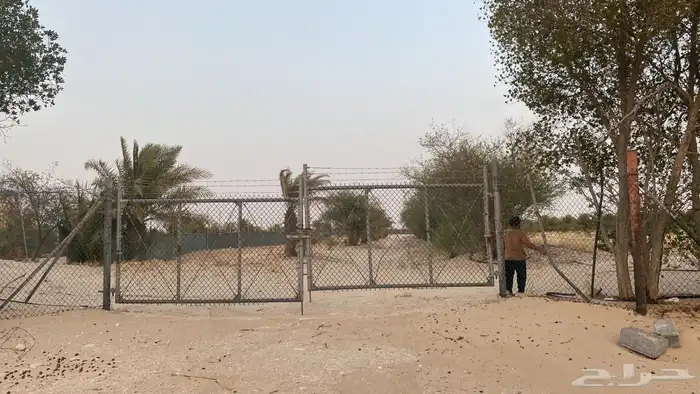 مزرعة في الجبيل للبيع 0