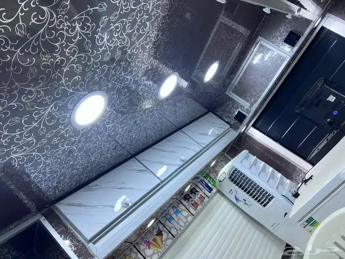 فرت موديل 2010 للايسكريم تم البيع 8