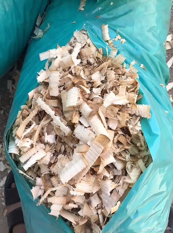 نشارة خيول ودواجن من اجود أنواع الخشب ارخص الاسعار 16