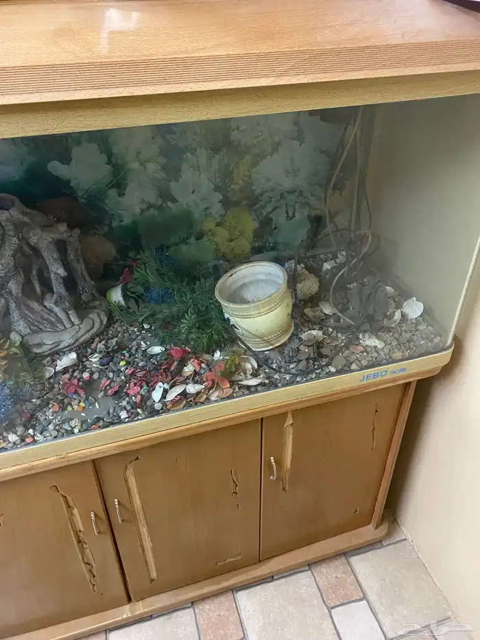 حوض سمك مع ادراج ارضيه 8