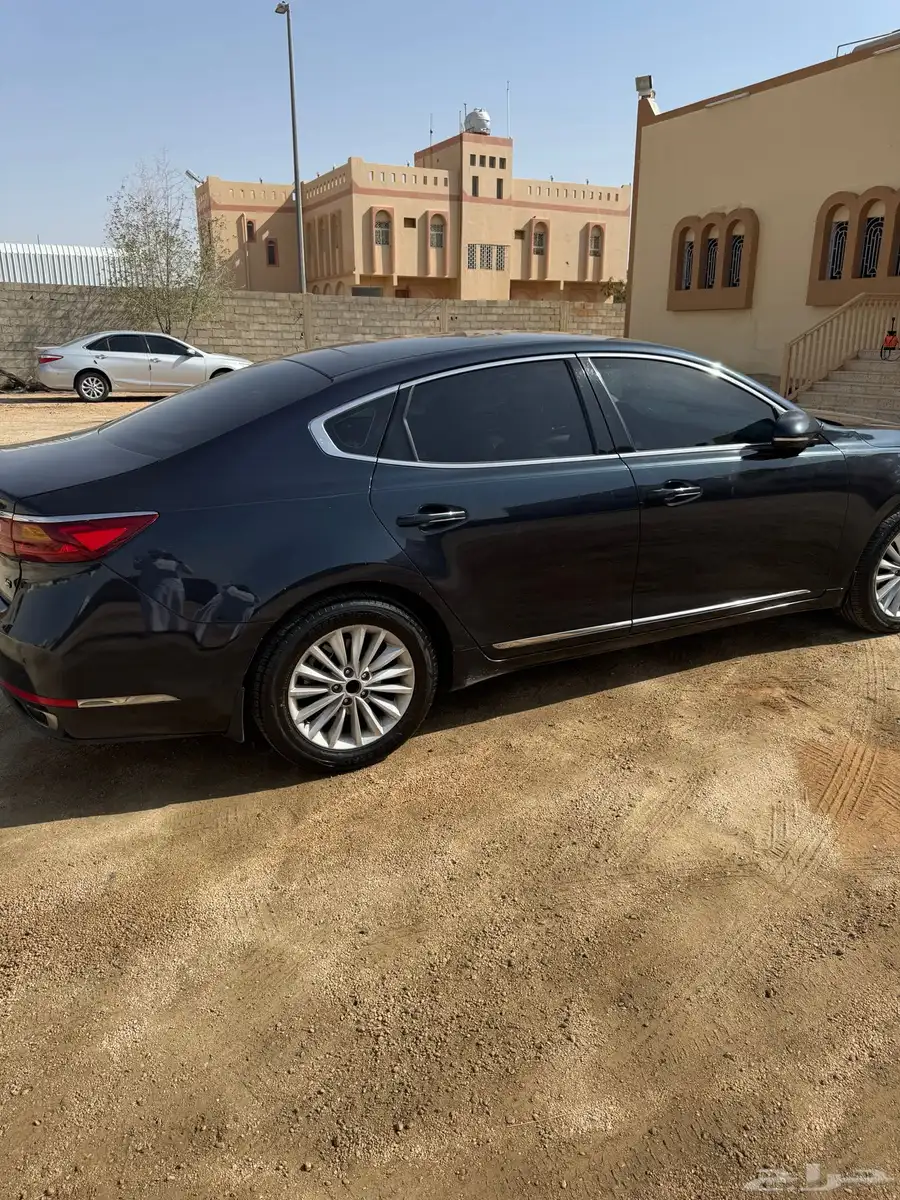 كادنزا 2018 3