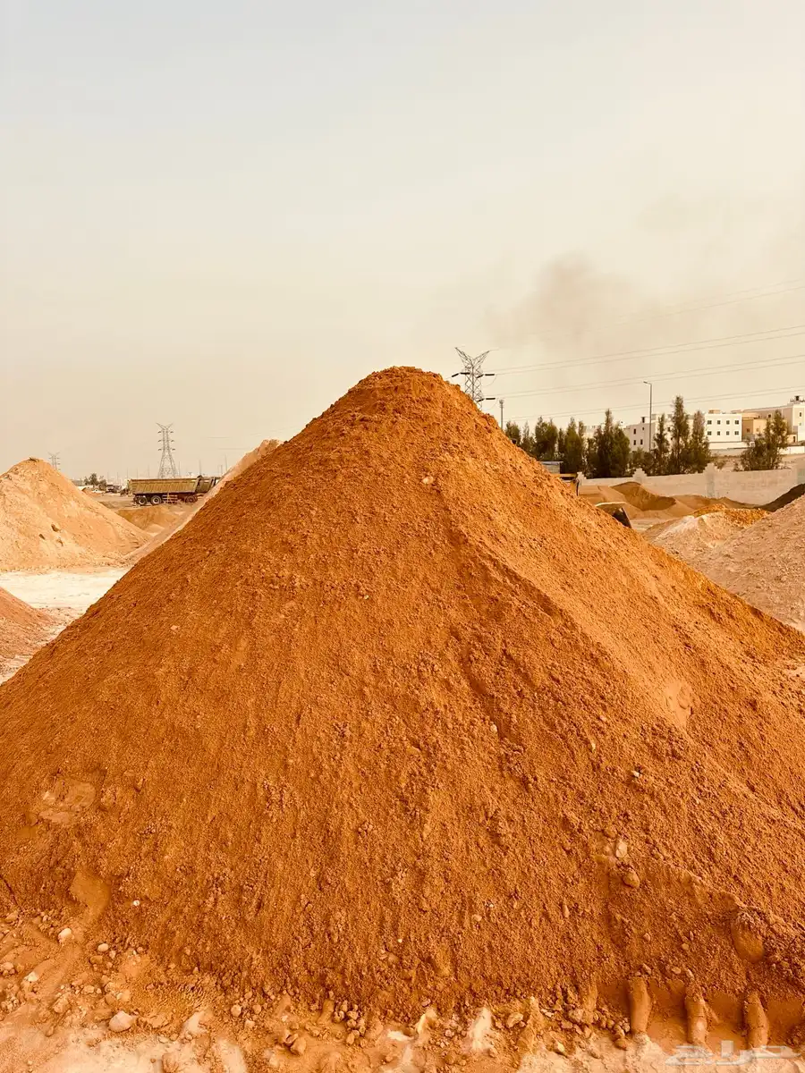 khamis mugshot Sand seeds 1