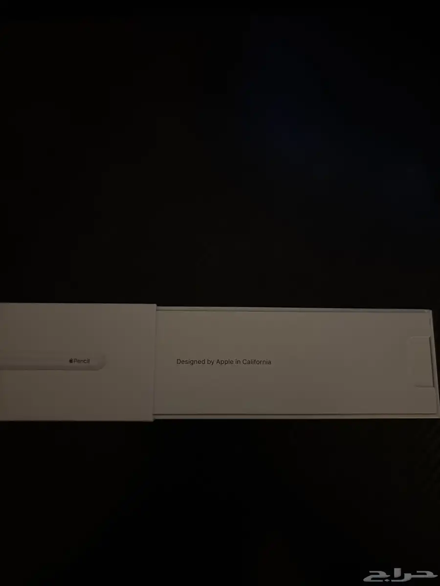 apple pencil 1