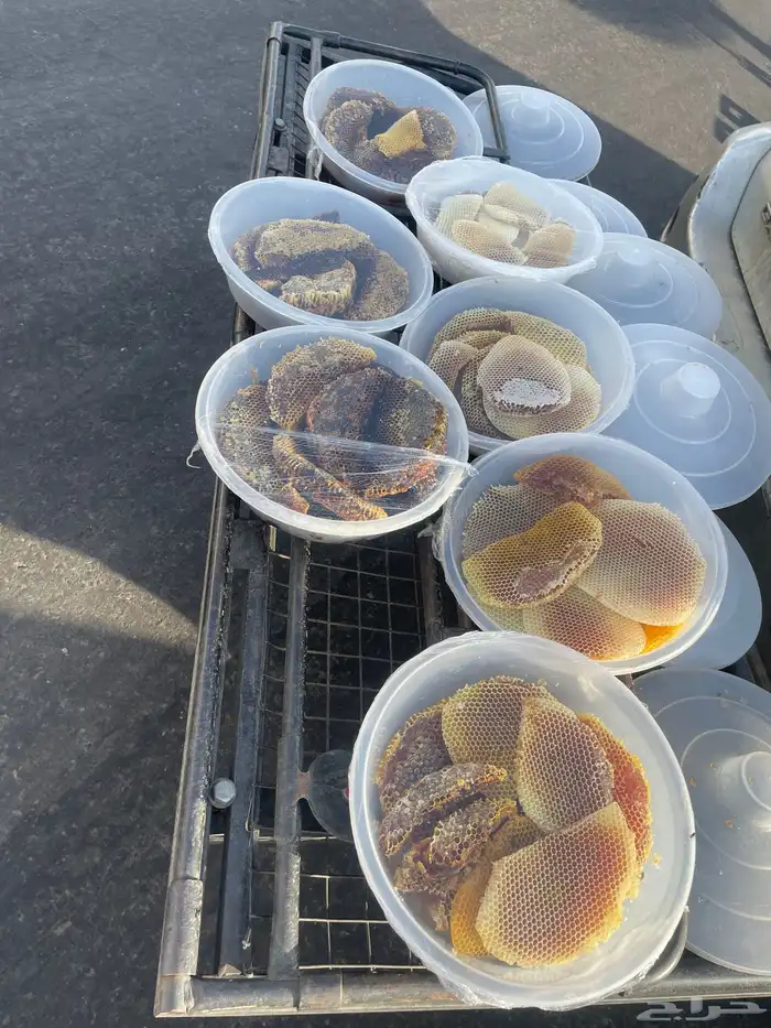 عسل طلحه البيع مستعجل 0